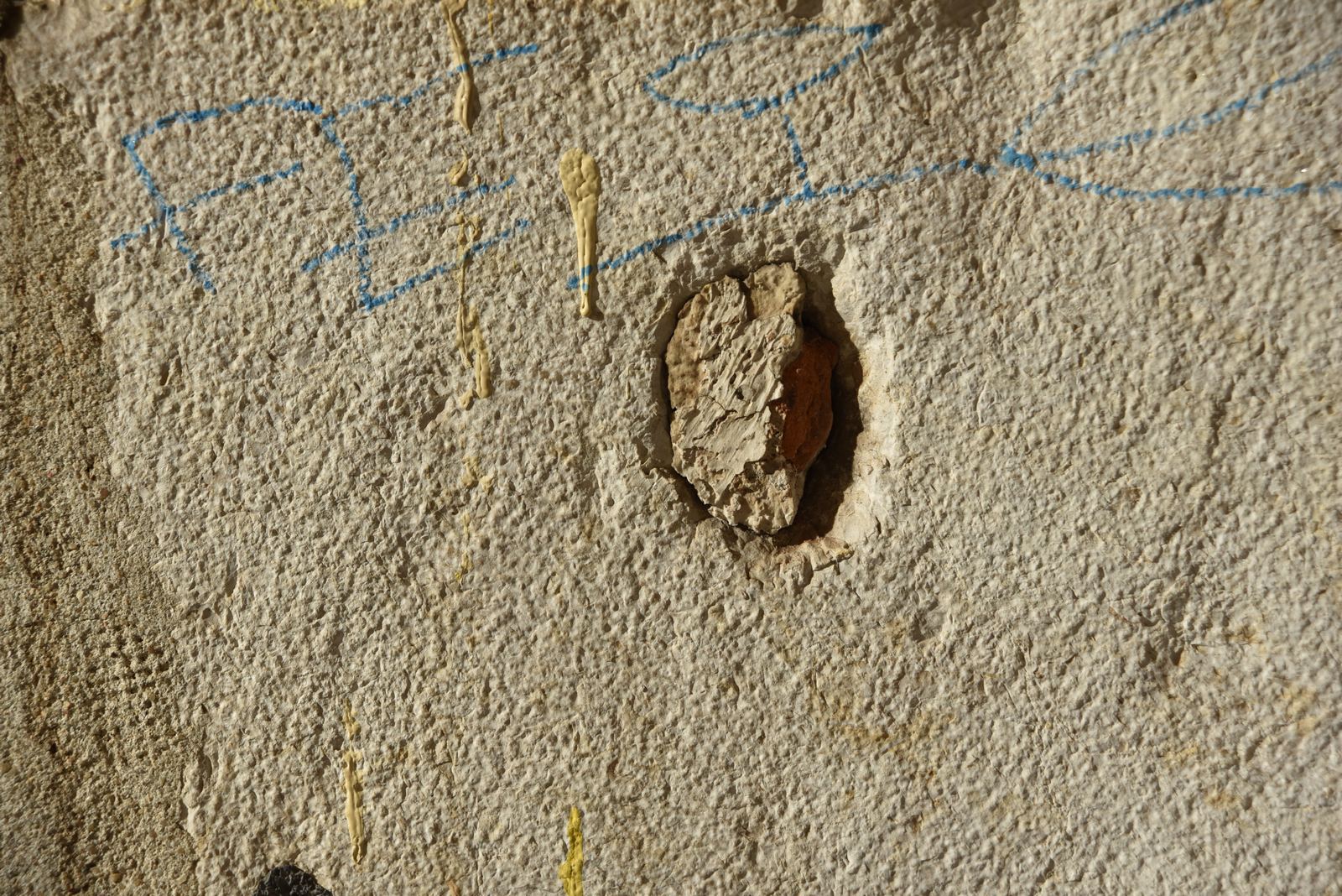 pt_202409_0082.jpg